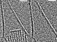 Video: First-ever look at crystals forming in real-time at atomic resolution