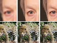 Enhance! Google researchers detail new method for upscaling low-resolution images with impressive results