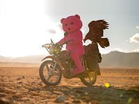 A Pink Bear in Mongolia: How Paul Robinson hit the steppes with a colorful character