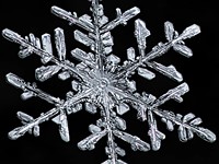 DPReview TV: How to photograph snowflakes