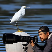 DPReview TV: The best camera for wildlife photography (at 3 budgets)